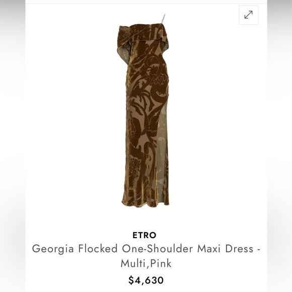 Etro Dresses & Skirts - ETRO Velvet Gown NWT